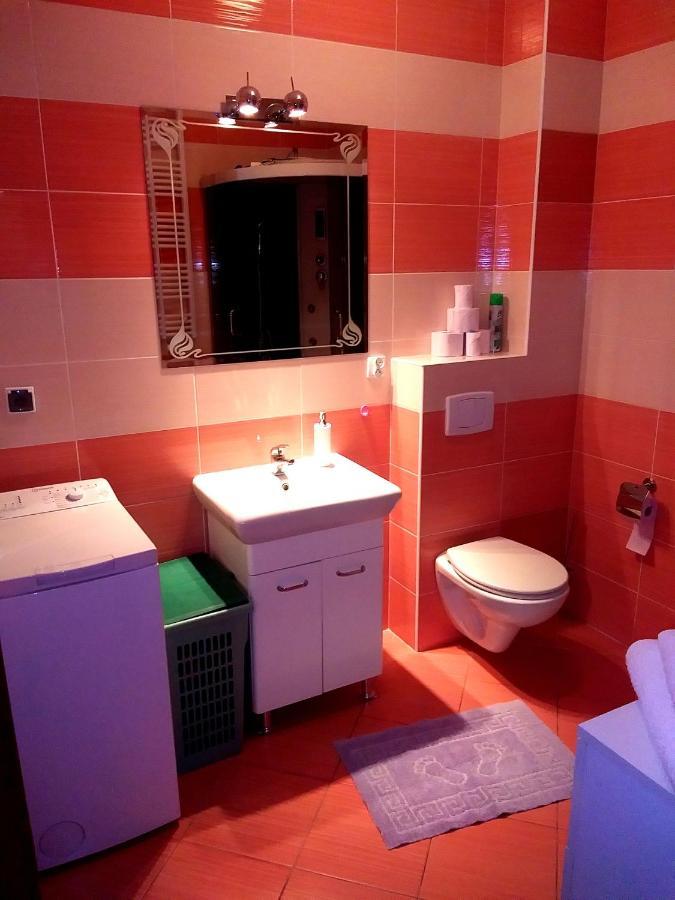 Apartment Old Town Cozy Elblag Bagian luar foto